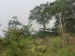 49909CIMG6246.JPG
