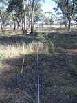 51480Vic003_L6.JPG