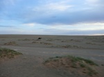 36600CIMG0369.JPG
