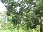 46618CIMG0907.JPG
