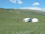 24230P1050669.JPG