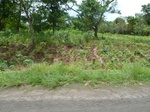 20998P1020868.JPG
