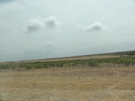 35432DSC02944.JPG