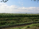 31429CIMG1293.JPG