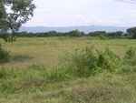 33605RIMG0270.JPG
