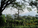 31825IMG_5426.JPG