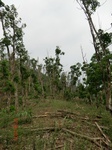 53561CIMG6912.JPG