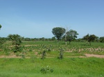 19487P1010334.JPG