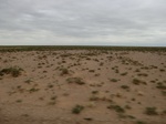 36793CIMG0563.JPG