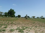19293P1010139.JPG