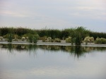 38608CIMG0140.JPG