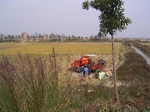 3270R0017304.JPG
