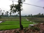 31720CIMG1588.JPG