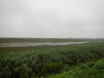 54506DSCN1788.JPG