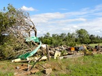 39838DSC01148.JPG