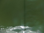 58400CIMG2849.JPG