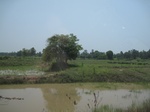 34516IMG_5499.JPG