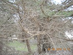 9478DSCN0925.JPG