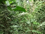 48013CIMG4350.JPG