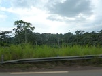 20184P1020036.JPG
