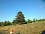 57985IMG_0948.JPG