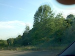 57776IMG_1063.JPG