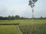 21801DSC08358.JPG