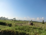 30464CIMG2033.JPG