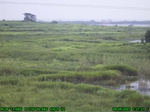 813R0015375_tag.jpg