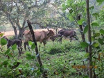 30024IMG_5369.JPG