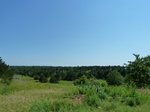 21646P1010472.JPG
