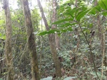 46710DSC02045.JPG