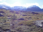 43105DSC00349.JPG