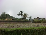 30748CIMG0588.JPG