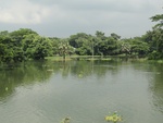 24555DSC00758.JPG