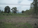 34379IMG_5293.JPG