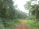 47517CIMG3854.JPG