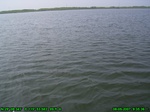 1302R0015100_tag.jpg
