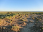 37790CIMG1597.JPG