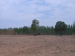 28057RIMG0112.JPG