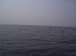 686R0015194.jpg