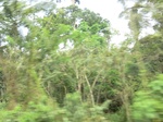 49714CIMG6051.JPG