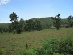 32123IMG_0164.JPG