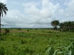 18198P1000034.JPG