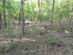 2024-11-29_05-41-39_2012-09-24_10-40-15_DSC03122.JPG