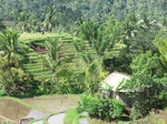 30367CIMG1922.JPG