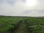 45865CIMG2950.JPG