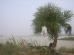 9151RIMG0232.JPG