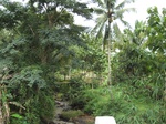 16160IMG_4918.JPG