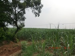 33107CIMG2342.JPG